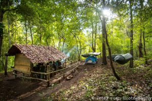 Our new base camp in the forest (photo credit: Peter Yuen Photography)